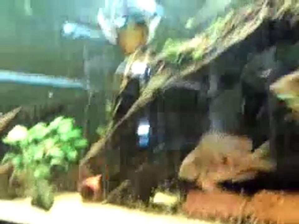 geo2