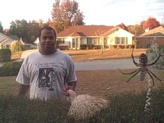 Every Woman Needs A Spider Man