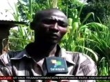 Agricultura para autoconsumo salva del hambre a campesinos kenianos