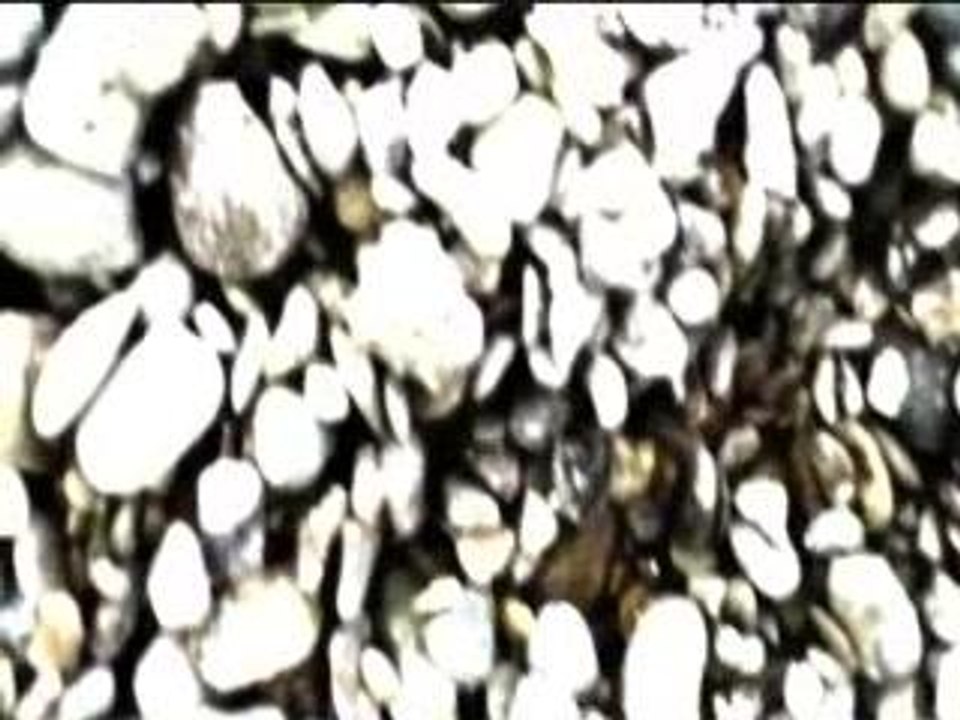 Okkervil River | Love to a monster | A Take Away Show