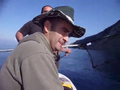 Torik 21.11.2010 Saros (İkinci torik:)