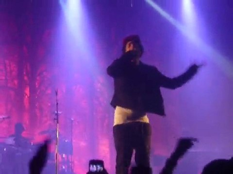 Patrice@Zénith de Paris 2010 - Knockin'