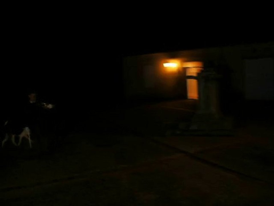 Vénerie du lièvre : Fanfare de nuit, GERS