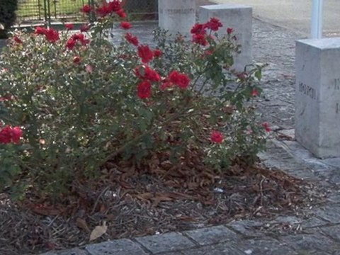 Aux Républicains Espagnols de l'Yonne