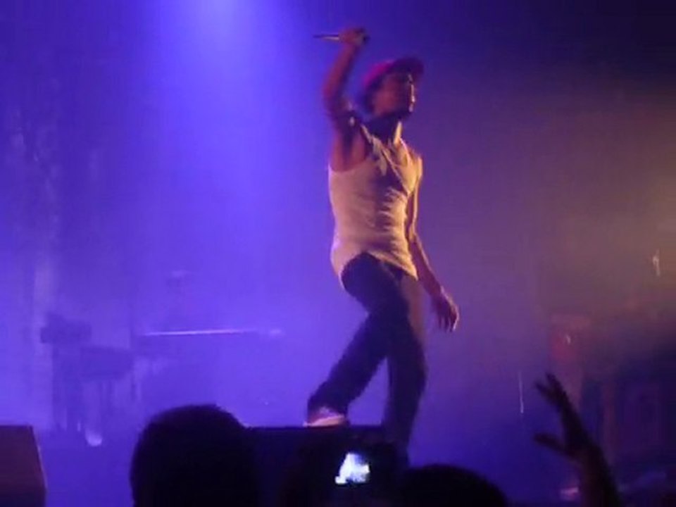 Patrice@Zénith de Paris 2010 - Nobody else's