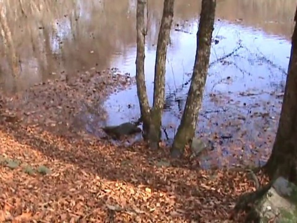 Sonbaharda Yedigöller Bolu - Seven Lakes in the fall of Bolu