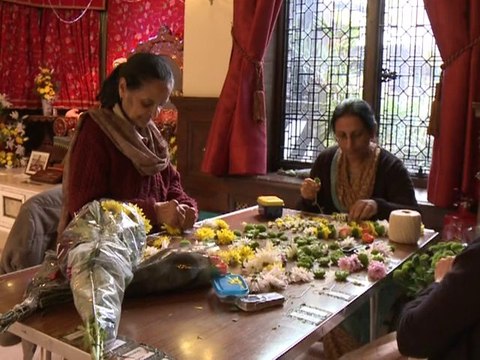 Une ferme de vaches sacrées en banlieue de Londres