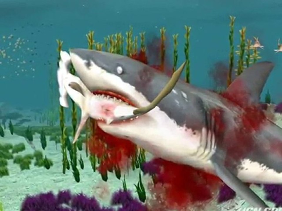 Jaws Unleashed, Free Online Forum & Discussions, News, ...