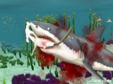 Jaws Unleashed, Forum & Games, Discussions, Cheat & News