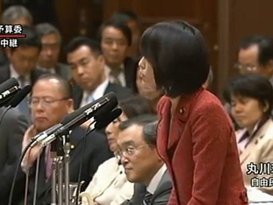 2010.11.22 (月) 参議院 予算委員会 丸川珠代 22