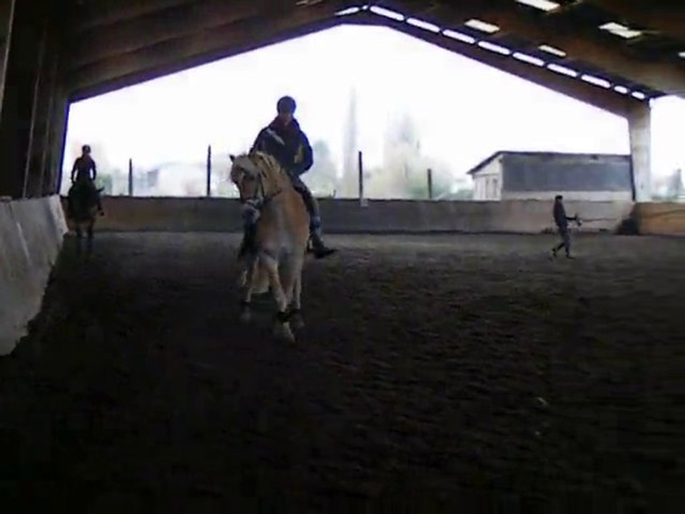 Déplacements latéraux au trot