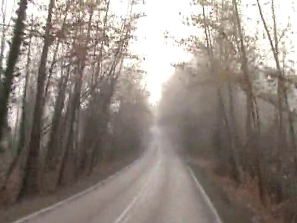 Sonbaharda Bartın Safranbolu Yolu Ağaç Tünelleri Road Tunnel