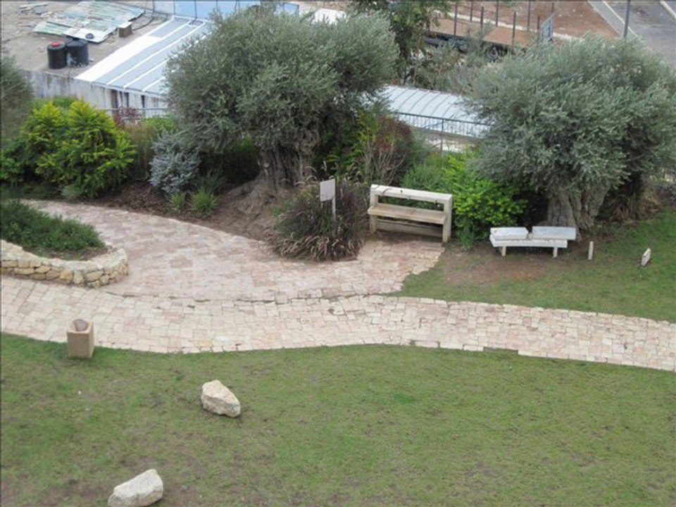 City of David (continue)
