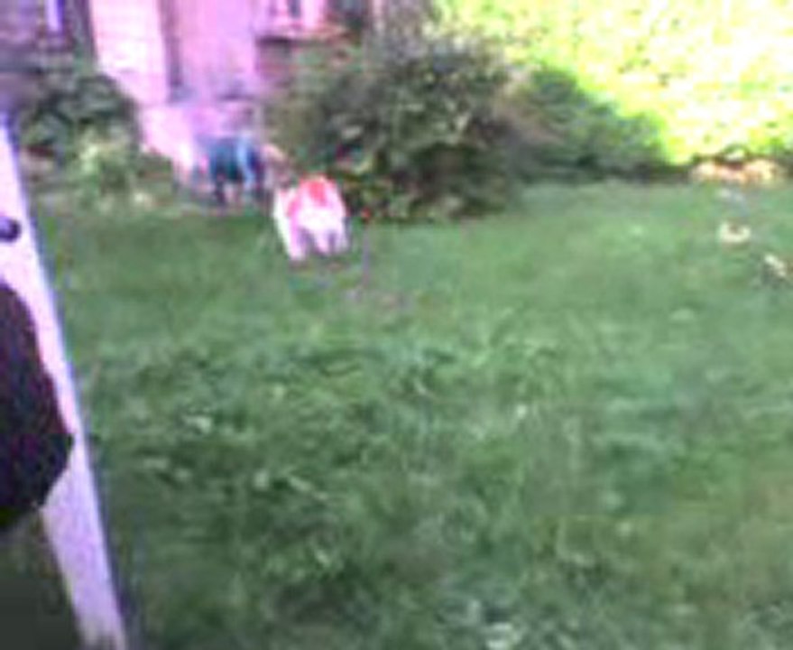 Simon et le Chat