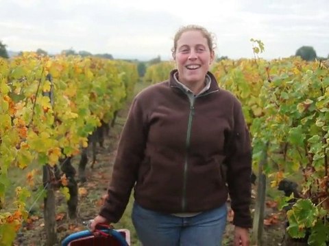 ITW Vigneron - Vendanges 2010 - La vigne au féminin