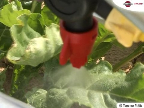 Hardi Evrard : le météor 5400