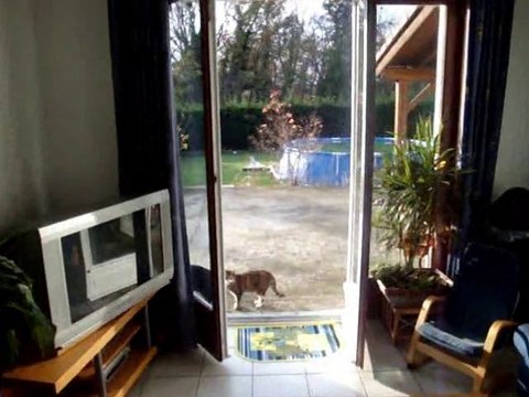 VEAUCHE VENTE MAISON 5 CHAMBRES