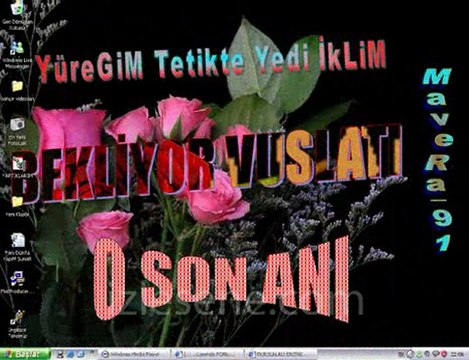 Yalan Yalan Sözlerin Yalan