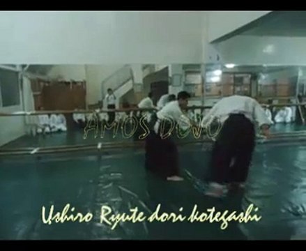 AÏKIDO: Ushiro Ryote Dori Kotegaeshi