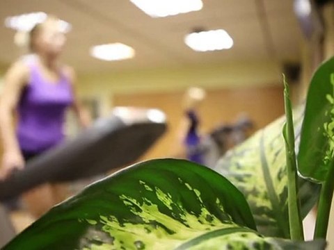 Москва: Скидка 78% на безлимитный фитнес!