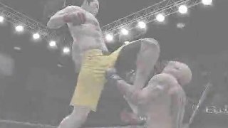 Gameplay EA Sports MMA - Bruce Lee (4)