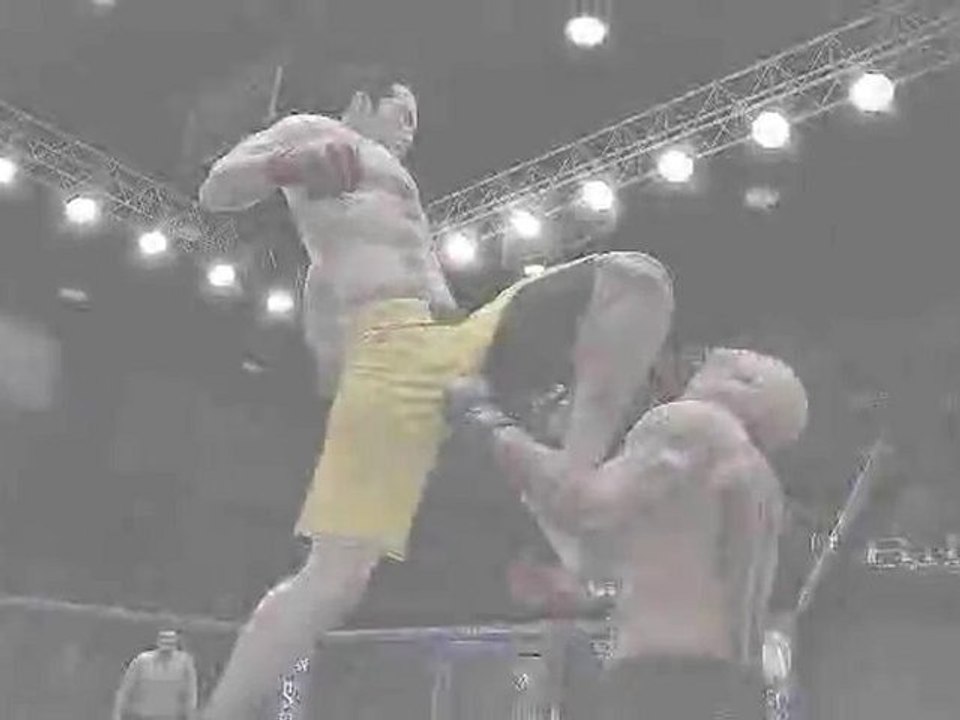 Gameplay EA Sports MMA - Bruce Lee (4)