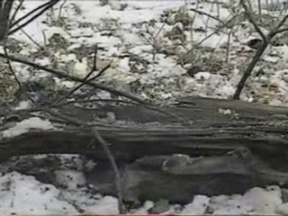 Economie Autonomisante, Activité, Autogestion, Nature ...25