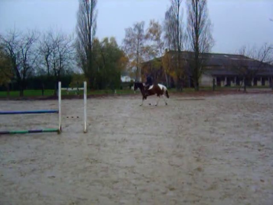 Tirelire : Travail au trot