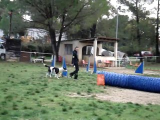Bulba gpf