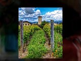 Napa Valley Winery Tours | Limo to Napa | Napa Wine Tour