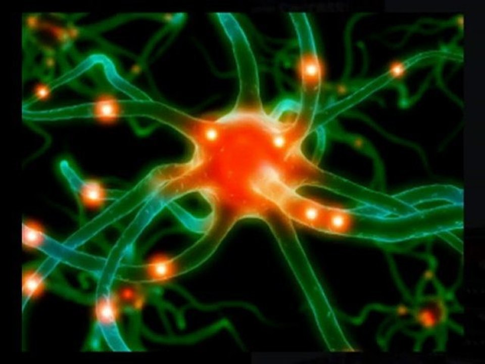 John Assaraf Can Show You How to be Successful