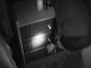 Suça Ortak Olmayın - Korsana Hayır - realdreamsproduction