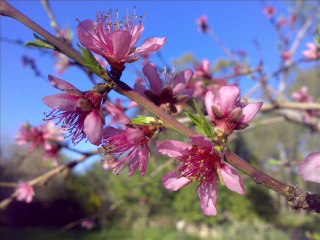 FARKINDAMISIN-Ayhan Büyükdere