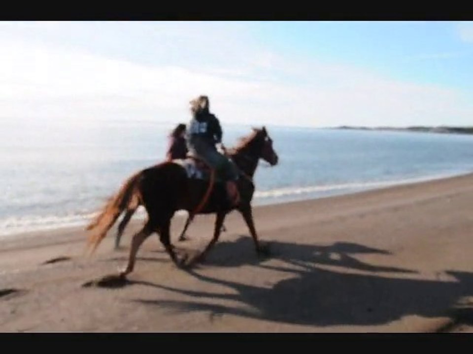 plage