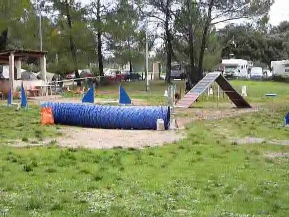 Angie - GPF Brignoles