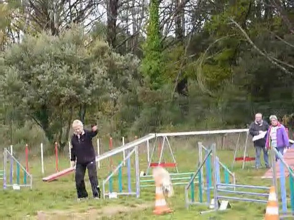 Taz - Open Brignoles