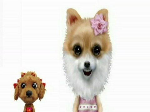 Puppies 4 Sale - Quality Puppies for Sale - Pug puppies for