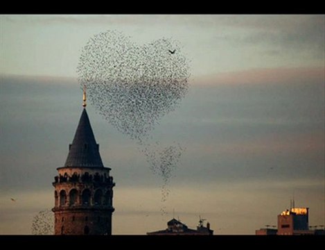 İREM - HAYALET SEVGİLİM