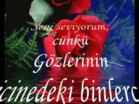 seni seviyorum cünkü sosyetekaradeniz.com erdoğan sancak