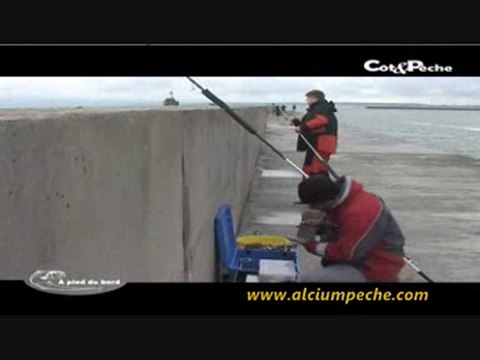 2/2Pêche à la Digue Carnot et Surfcasting à Boulogne sur Mer