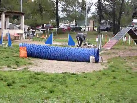 Brownie - GPF Brignoles