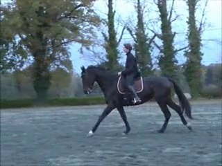 Rosa dressage nov 2010