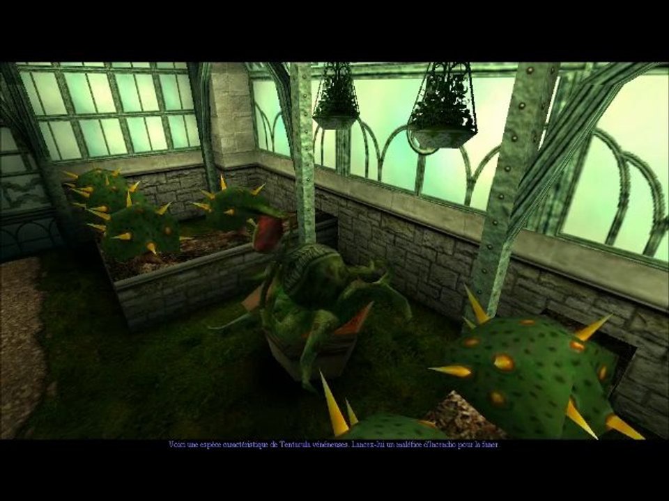 Harry Potter : 1 (05) Vive les plantes, vive les plantes...