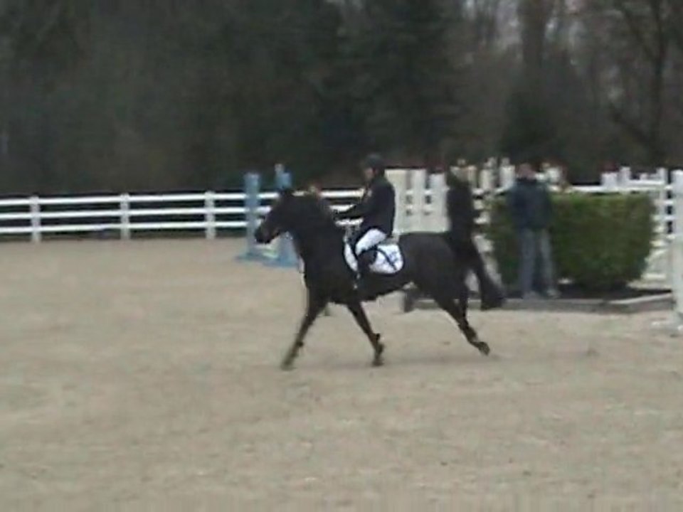 Sport Ponies Stable - Country 21 11 2010 - 110cm - Rslt 2eme