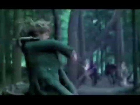 Harry Potter et les reliques de la mort - Bande annonce