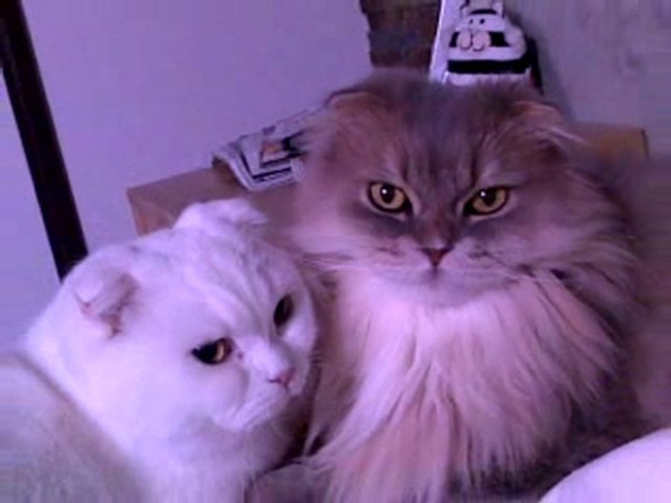 dur de se lever avec ça