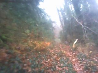 petite montée suite ....  partie 2