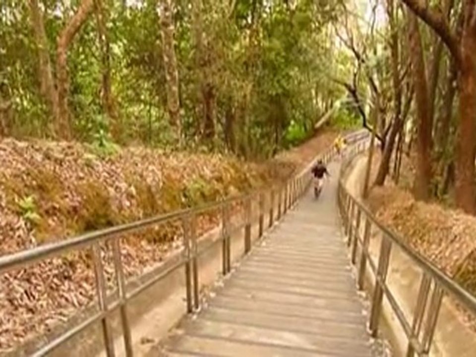 Les marches interminables