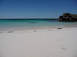 UNE DES NOMBREUSES PLAGES PARADISIAQUES DE ROTTNEST ISLAND