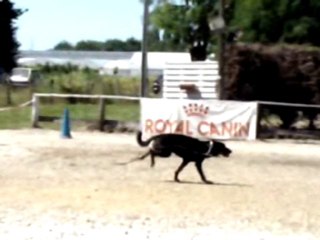 rendez-vous au domaine de lacombe
